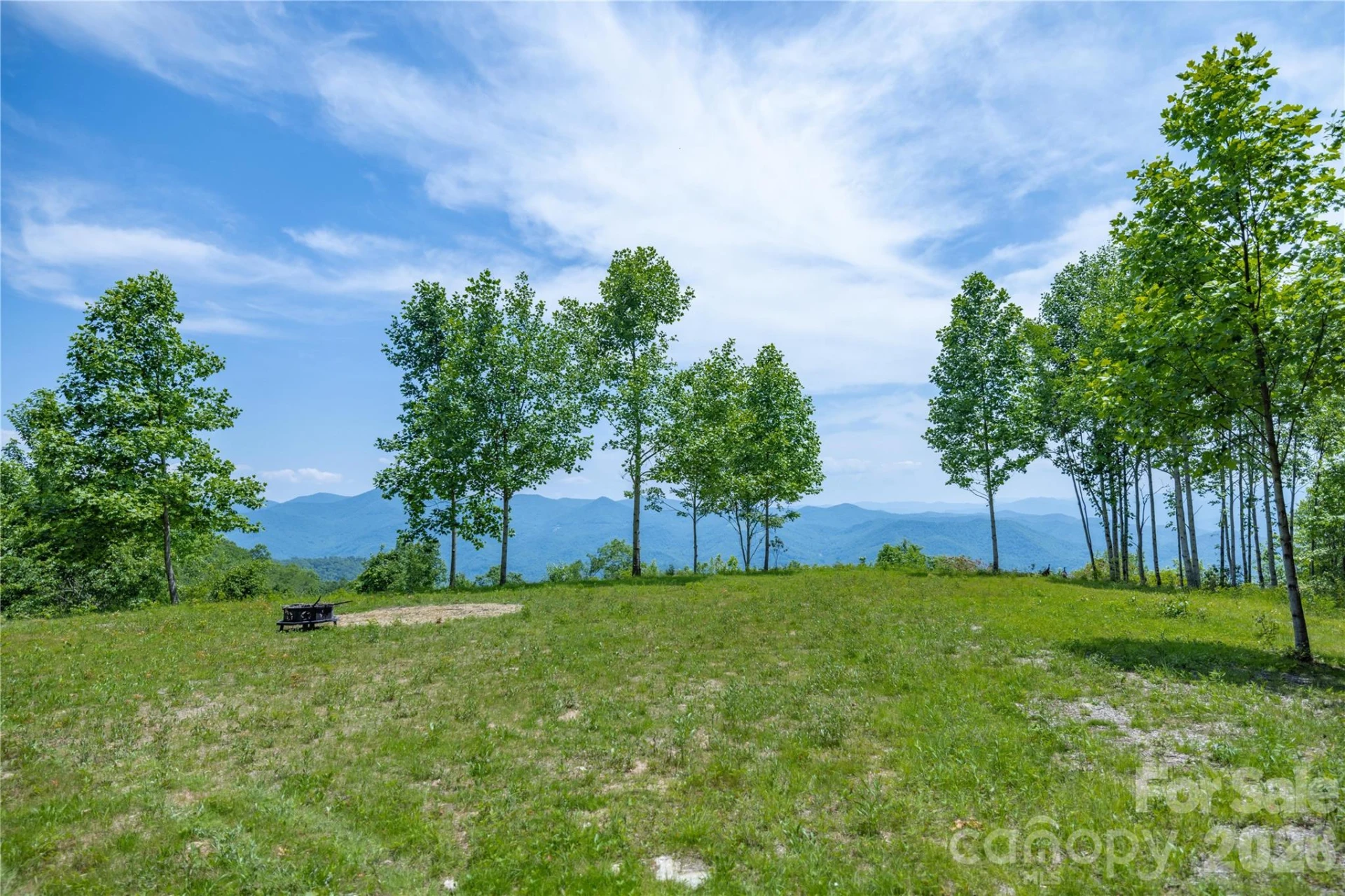 3409 Parris Branch Road - Photo 7