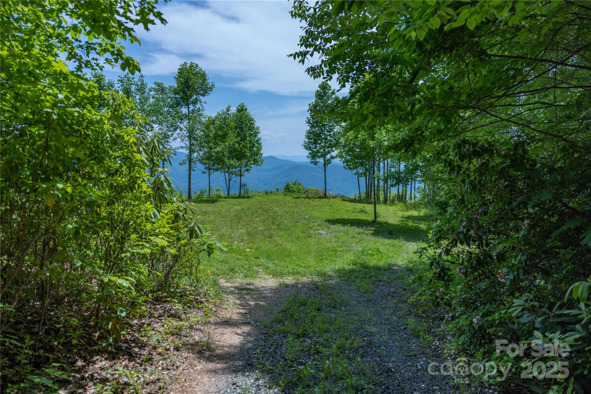 3409 Parris Branch Road - Photo 5