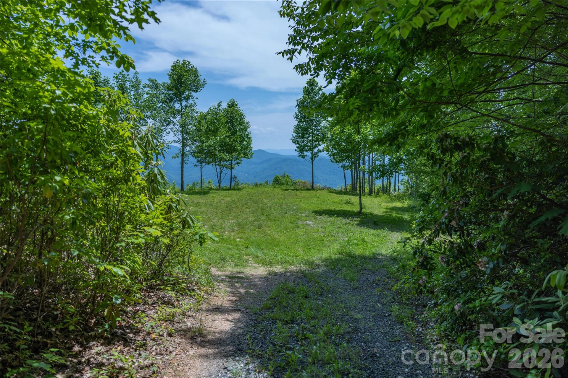 3409 Parris Branch Road - Photo 9