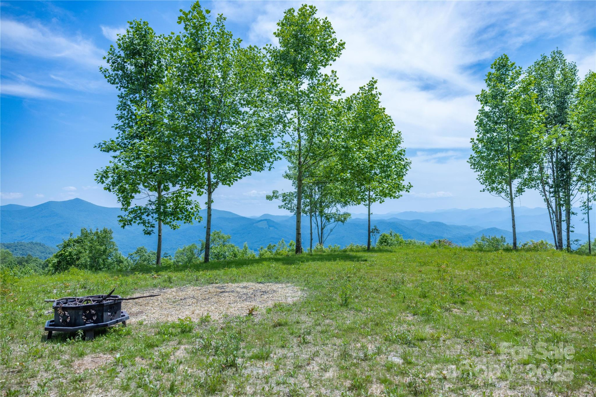 3409 Parris Branch Road - Photo 6