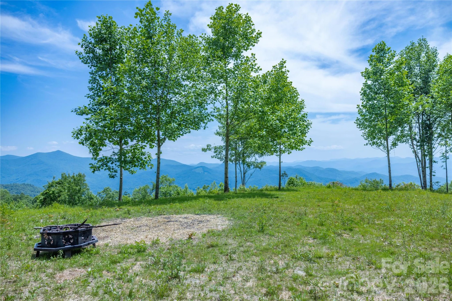 3409 Parris Branch Road - Photo 11