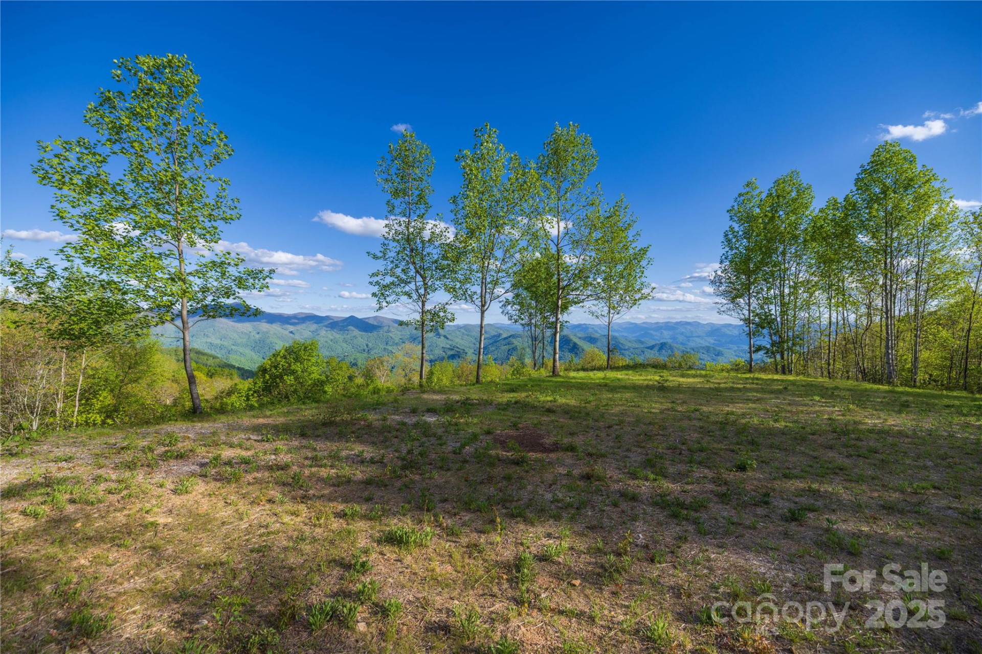 3409 Parris Branch Road - Photo 7