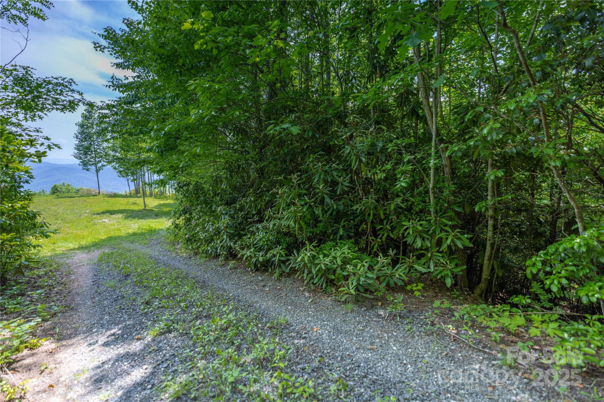 3409 Parris Branch Road - Photo 8