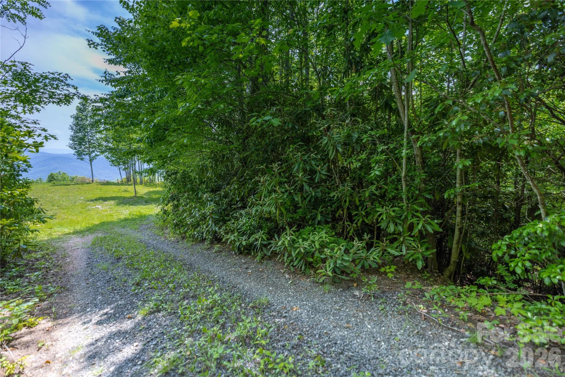 3409 Parris Branch Road - Photo 15