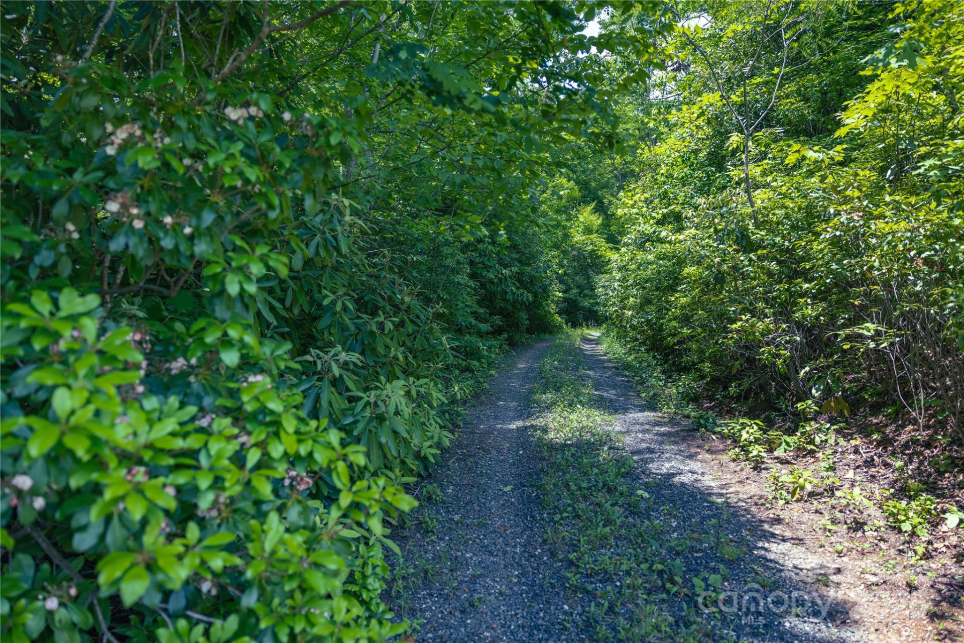 3409 Parris Branch Road - Photo 9