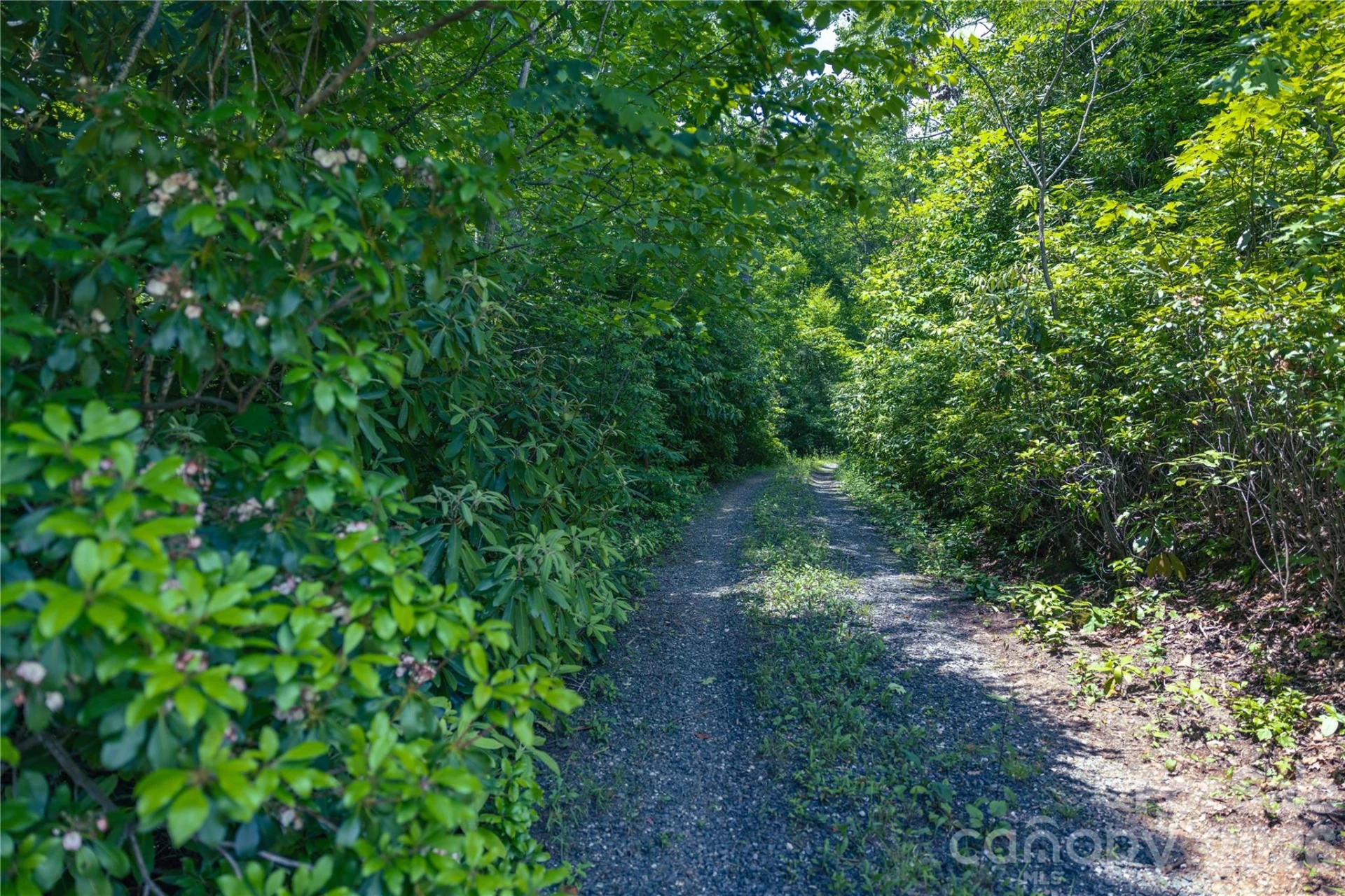 3409 Parris Branch Road - Photo 17