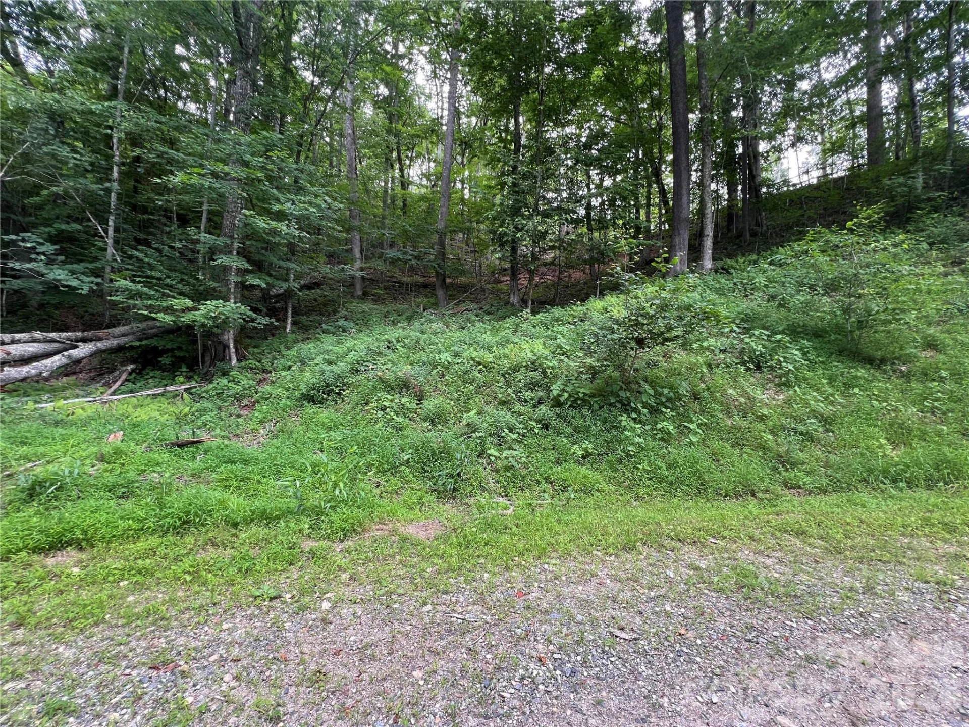 0 CHESTNUT Lane #Lot 84