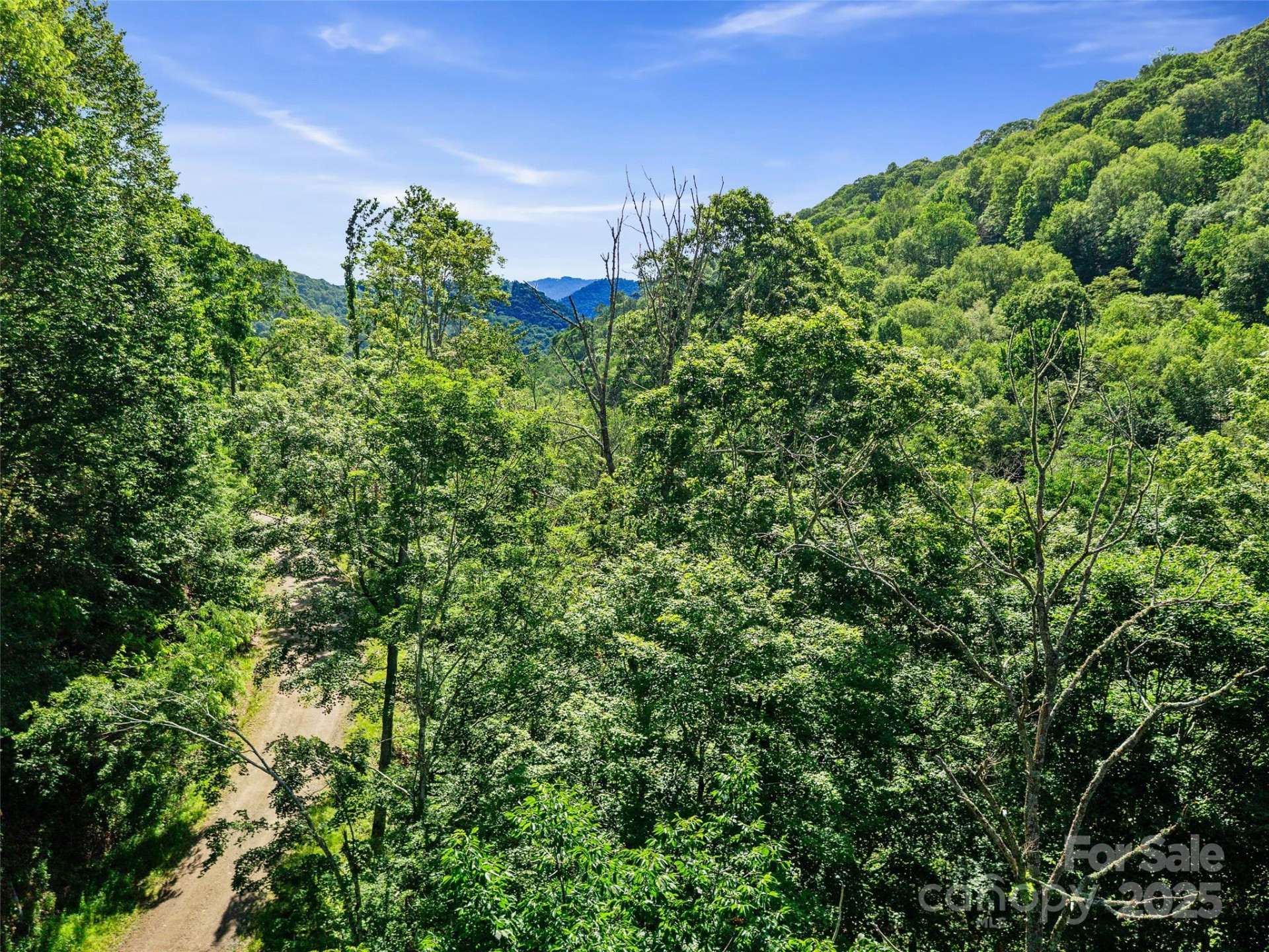 0 Chestnut Lane #Lot 84 - Photo 11