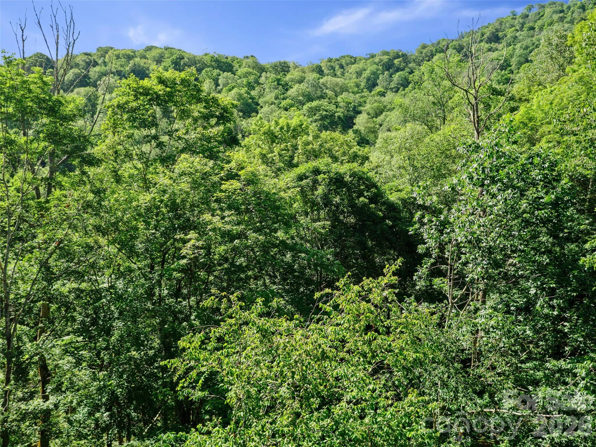 0 CHESTNUT Lane #Lot 84 - Photo 25