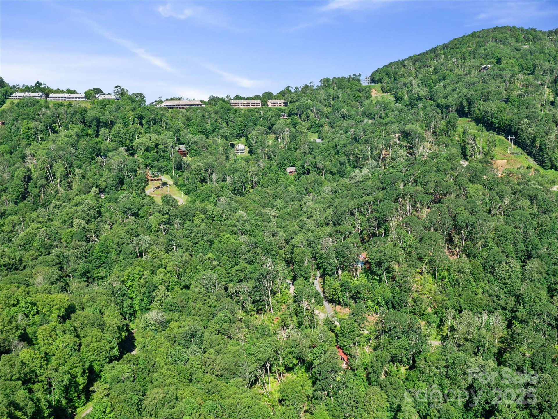 0 Chestnut Lane #Lot 84 - Photo 16