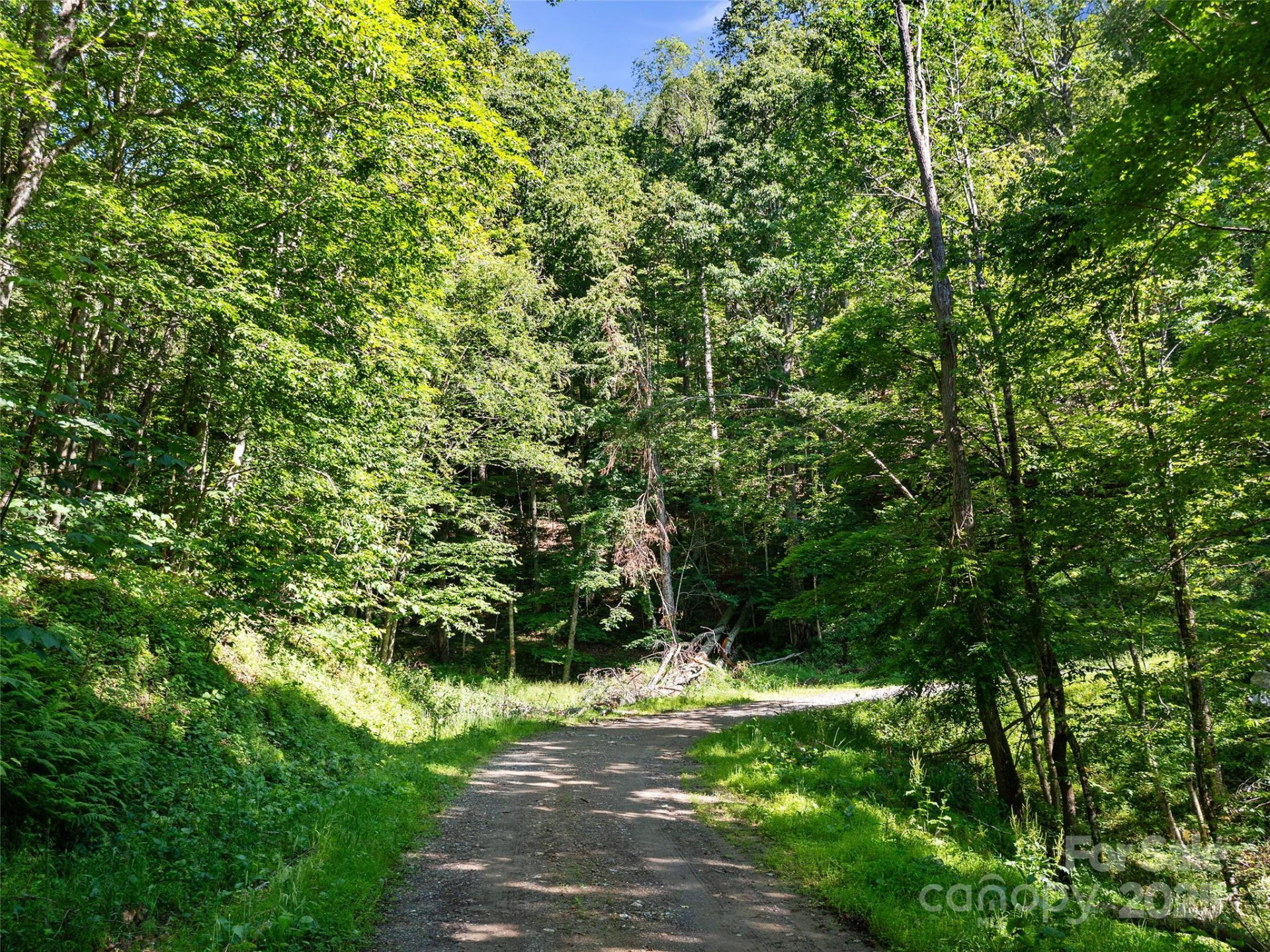 0 Chestnut Lane #Lot 84 - Photo 3