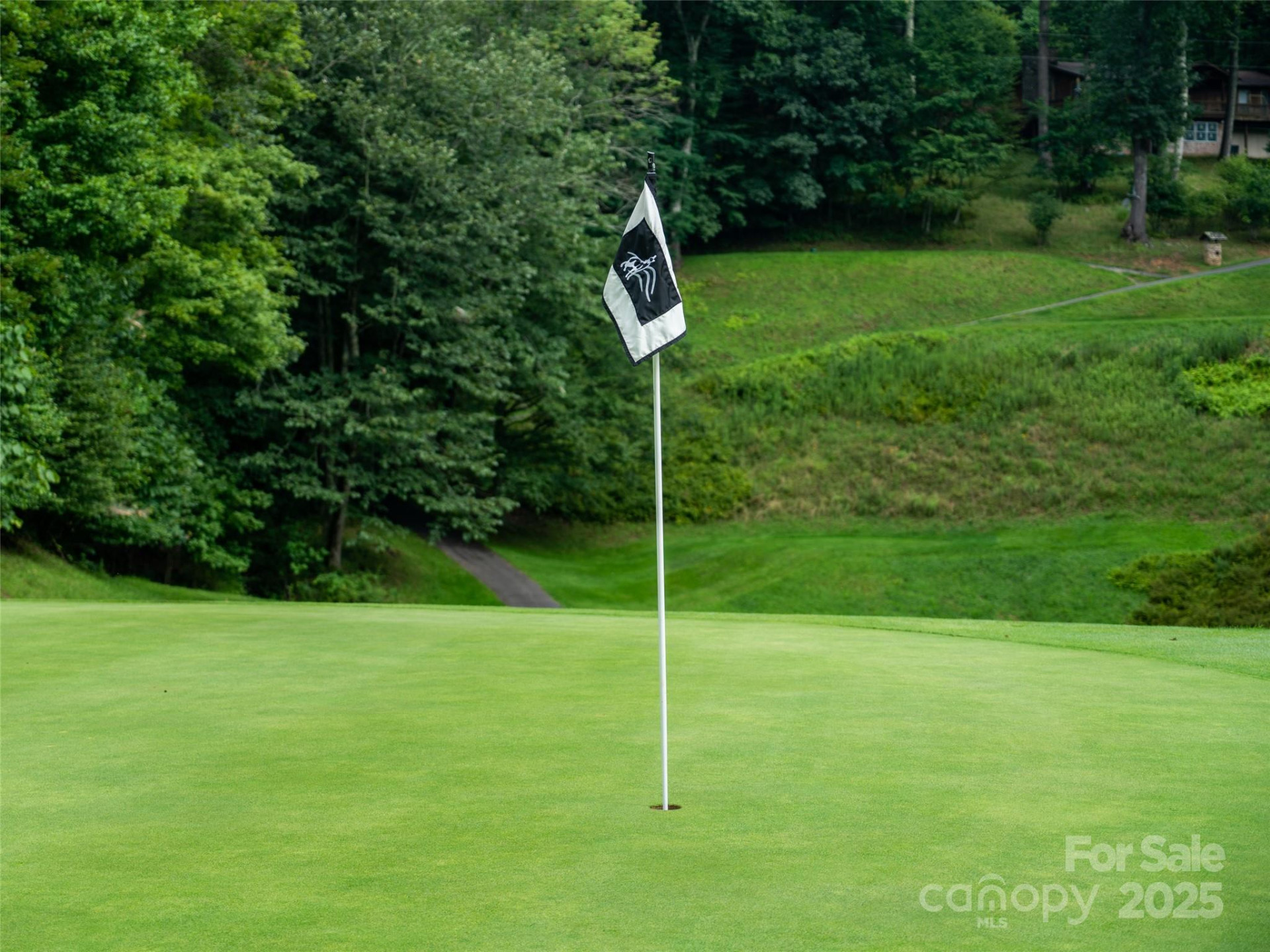 0 Chestnut Lane #Lot 84 - Photo 21