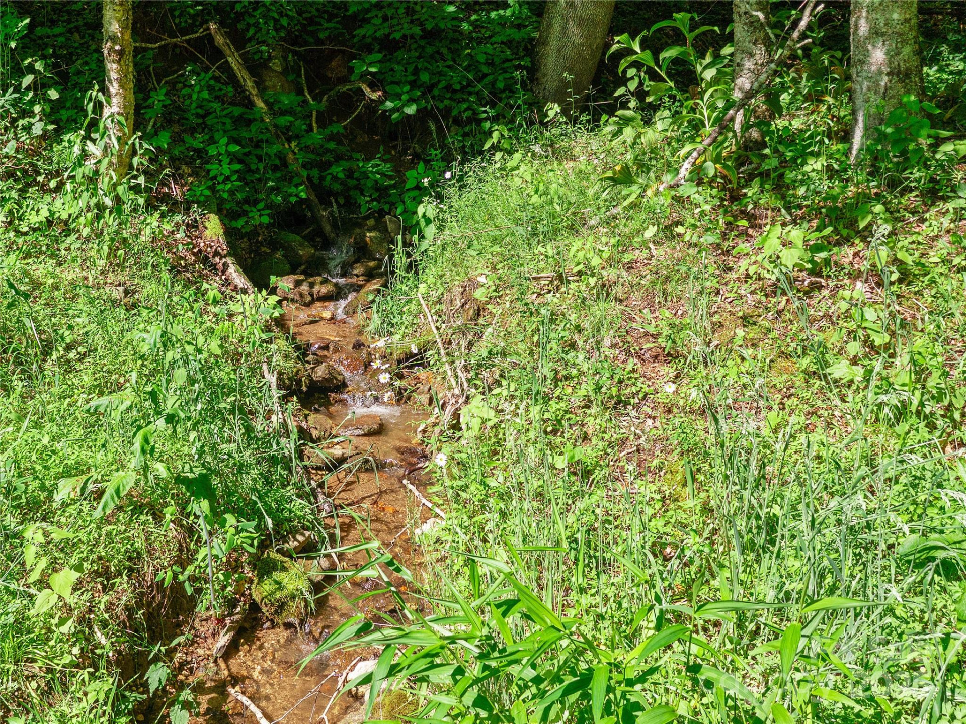 0 Chestnut Lane #Lot 84 - Photo 4