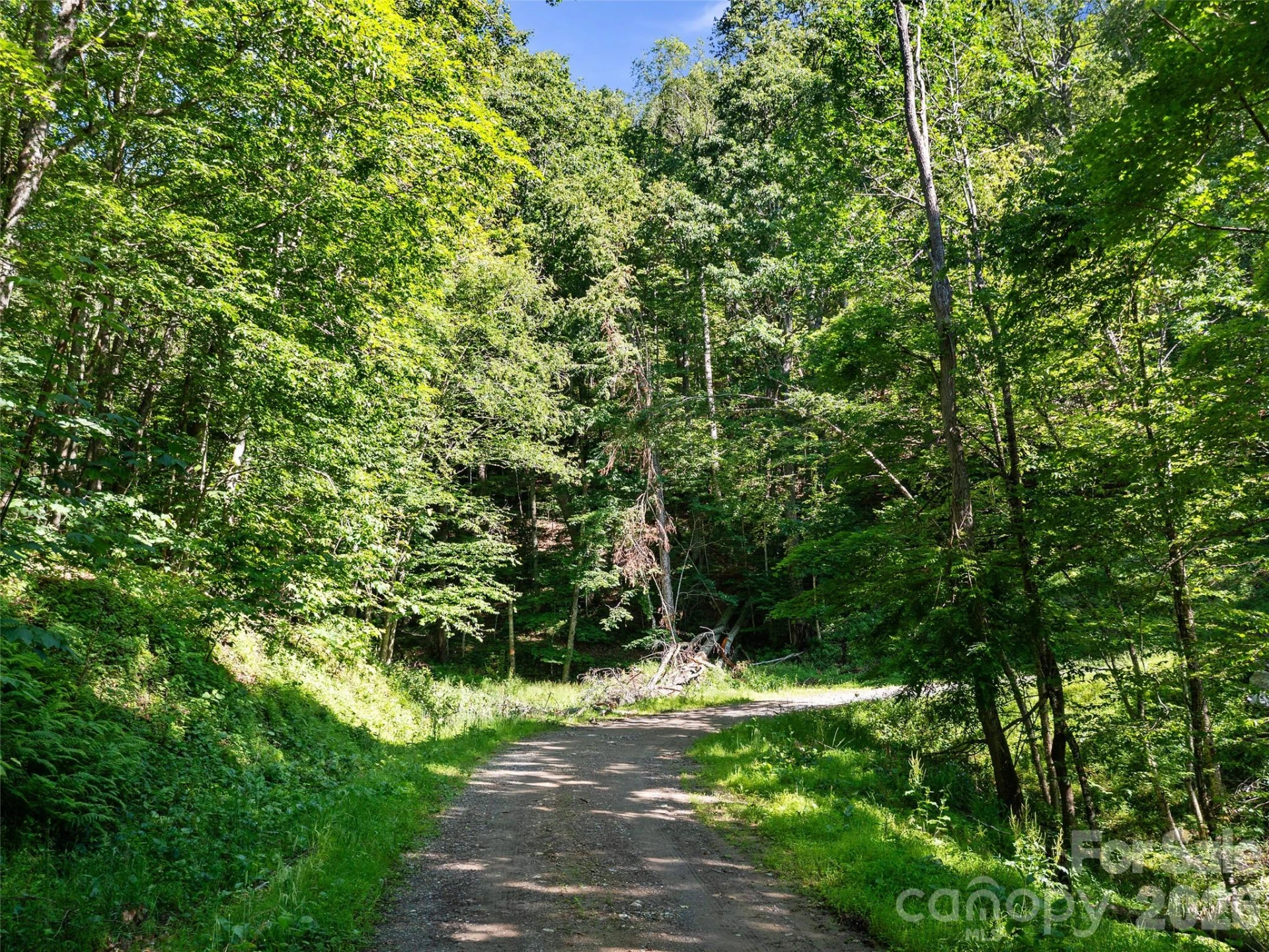 0 CHESTNUT Lane #Lot 84 - Photo 7