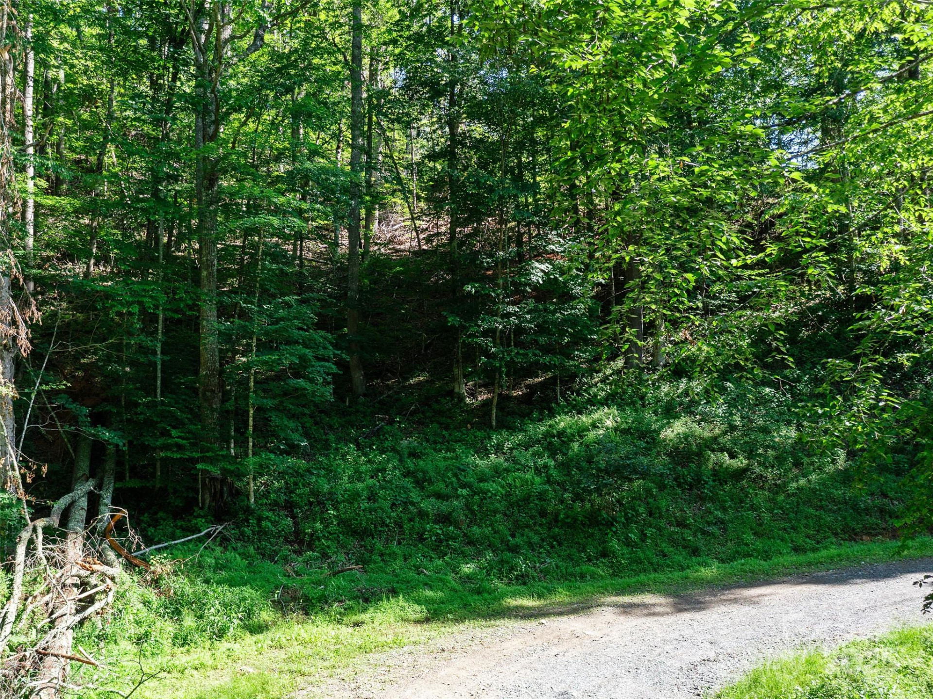 0 Chestnut Lane #Lot 84 - Photo 5