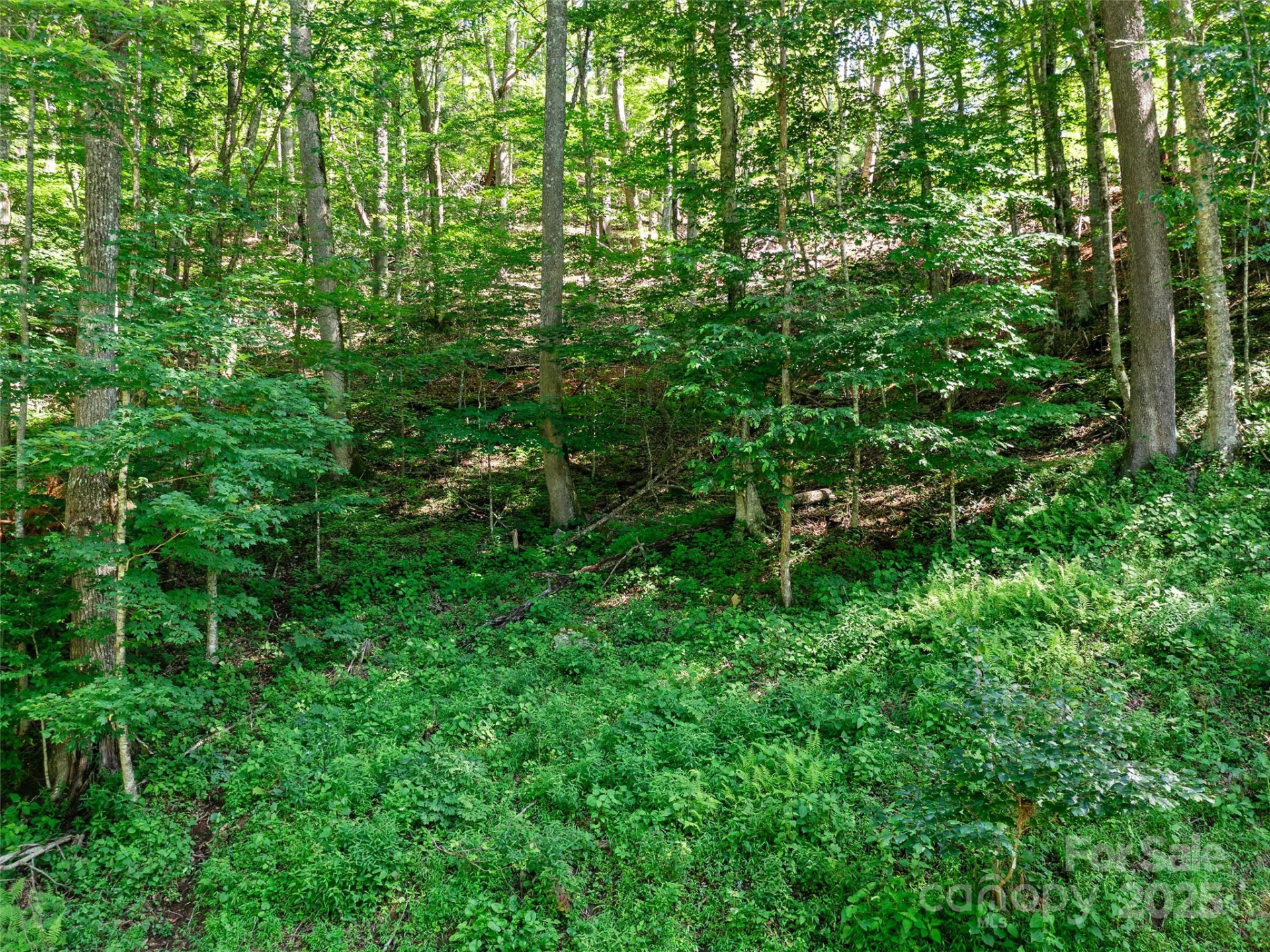 0 Chestnut Lane #Lot 84 - Photo 6