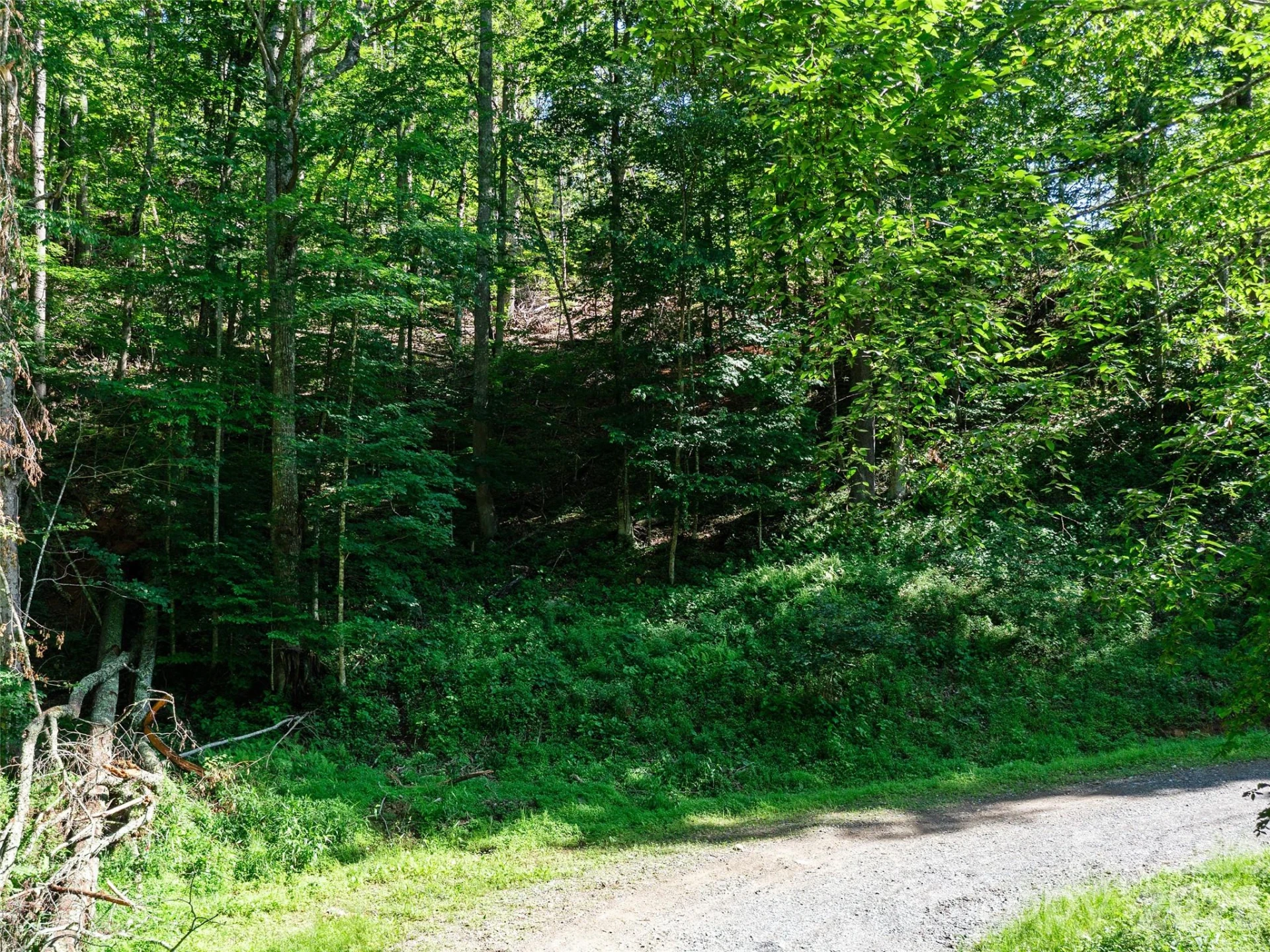 0 CHESTNUT Lane #Lot 84 - Photo 11