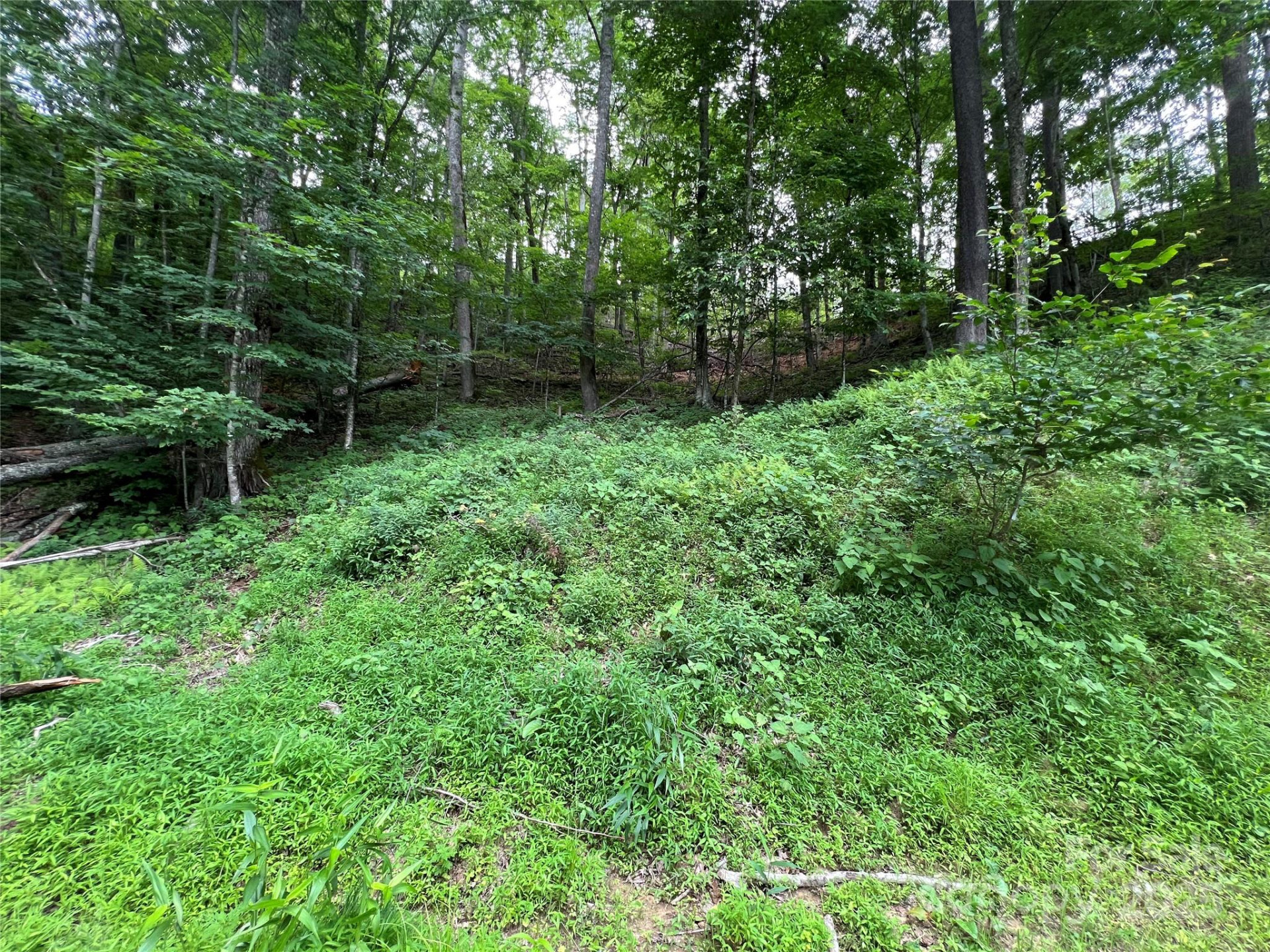 0 Chestnut Lane #Lot 84 - Photo 7