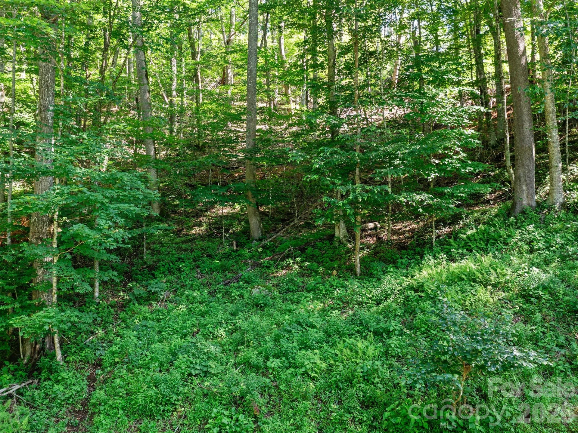 0 CHESTNUT Lane #Lot 84 - Photo 13