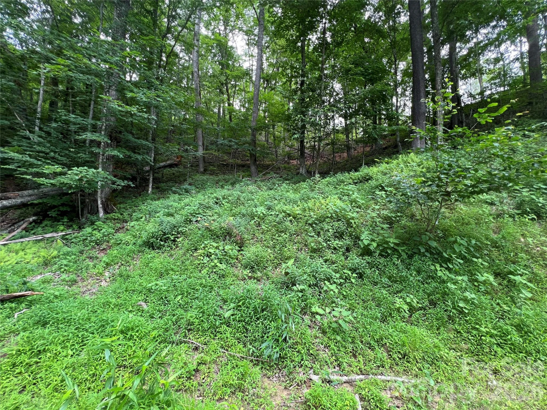 0 CHESTNUT Lane #Lot 84 - Photo 15