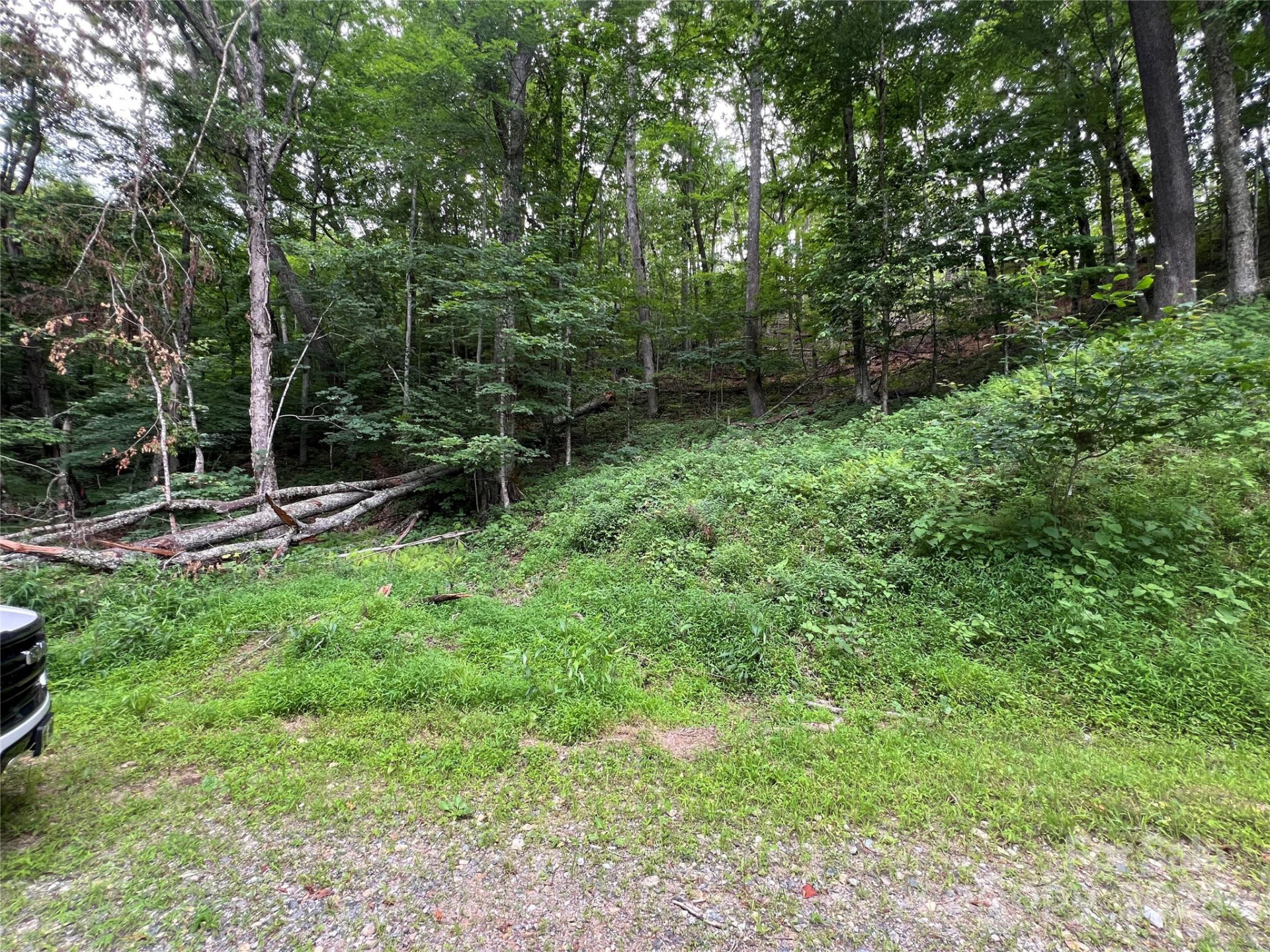 0 Chestnut Lane #Lot 84 - Photo 9