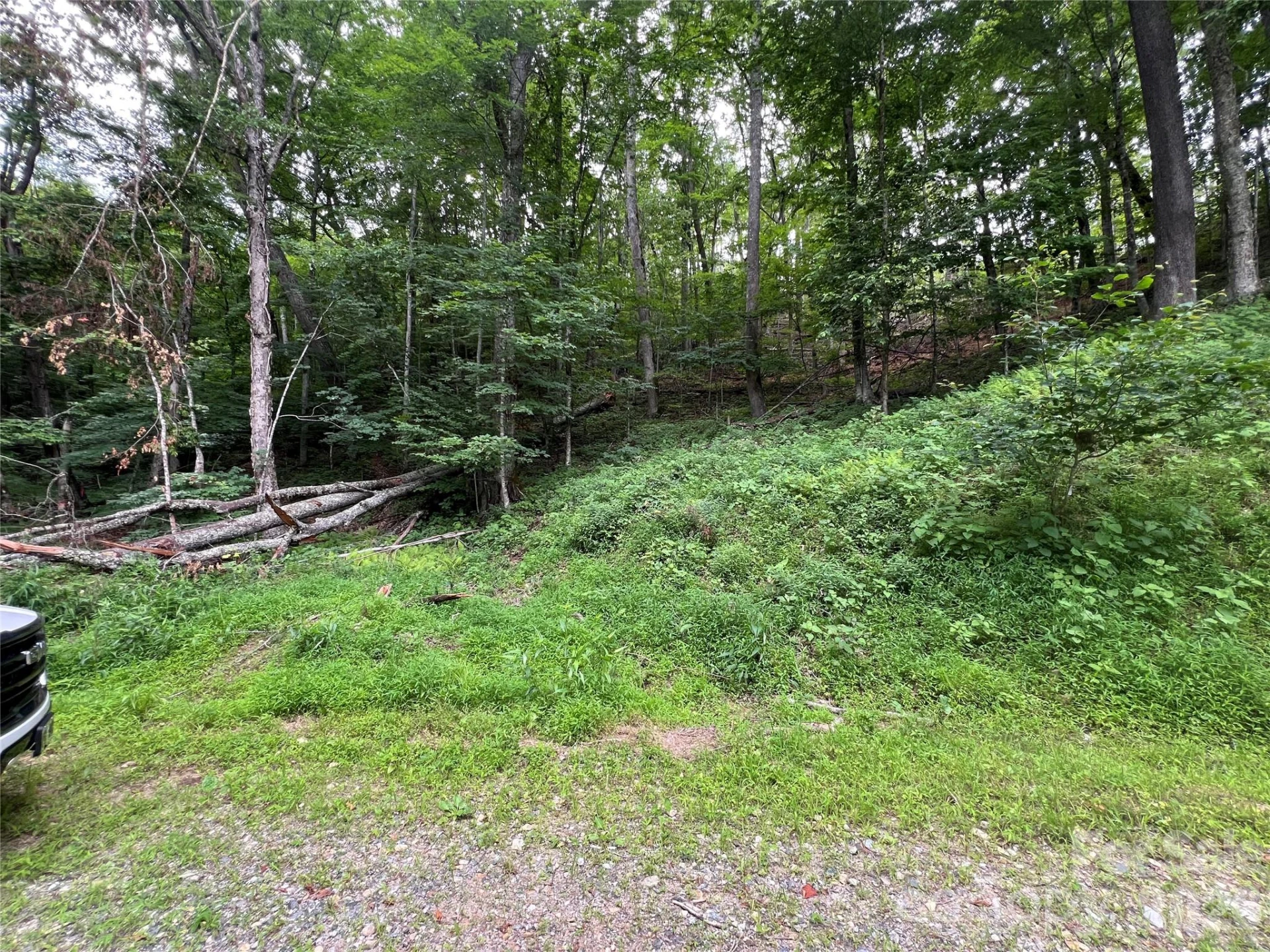 0 CHESTNUT Lane #Lot 84 - Photo 17