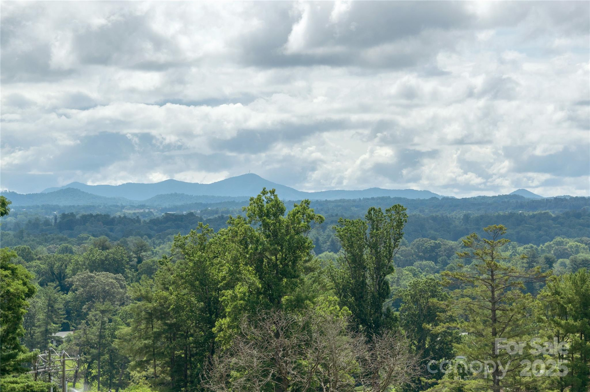 140 Bent Tree Drive #3 - Photo 3