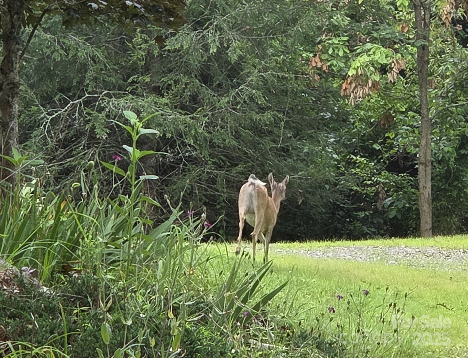 15 Mountain Tea Lane - Photo 43