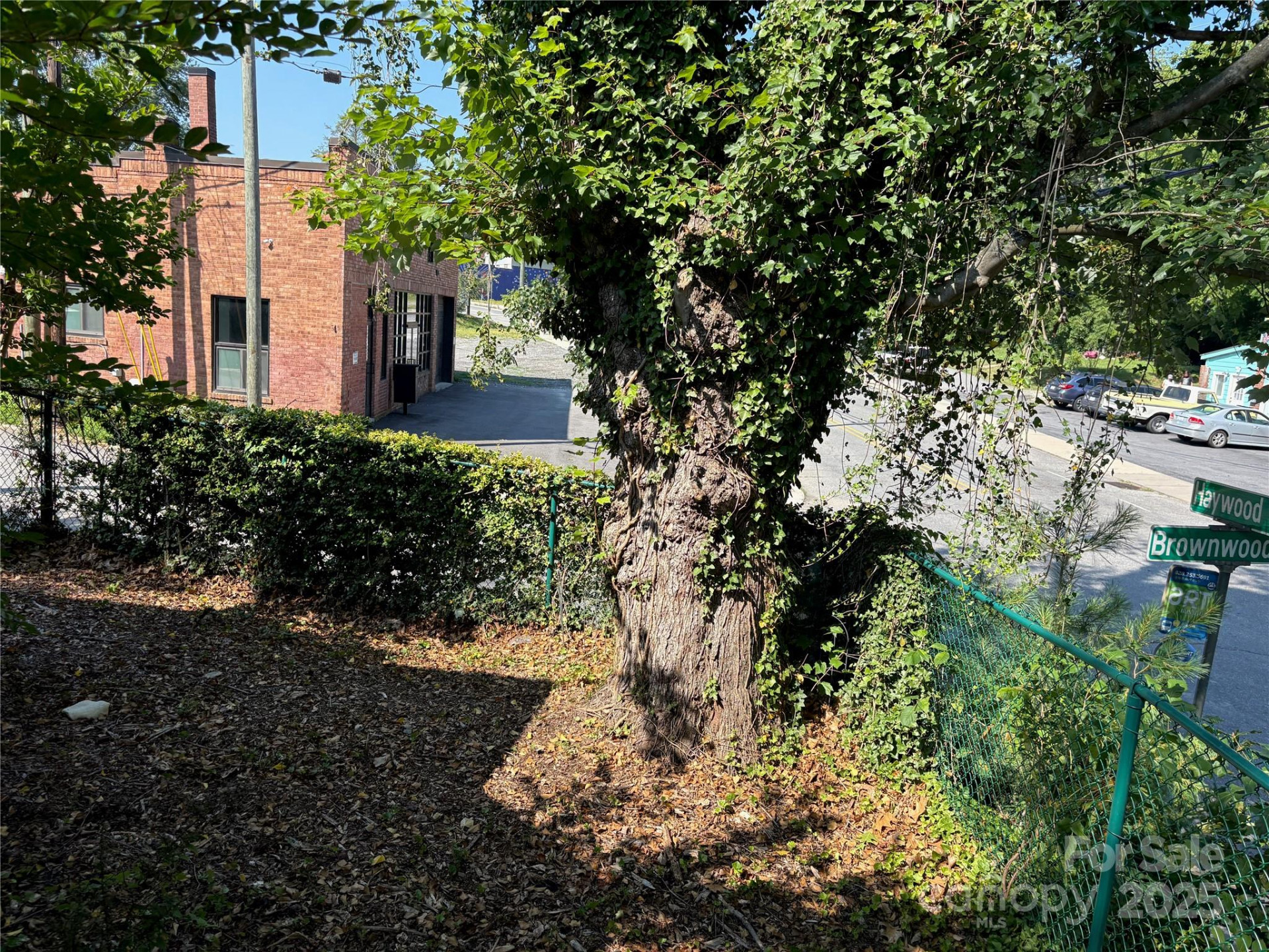 40 Brownwood Avenue - Photo 24