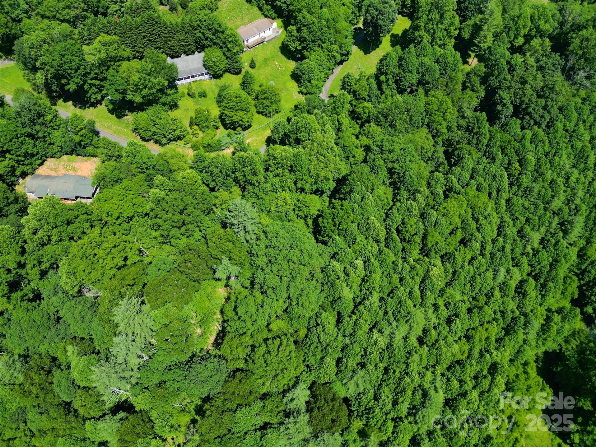 00 Point of View Drive - Photo 5