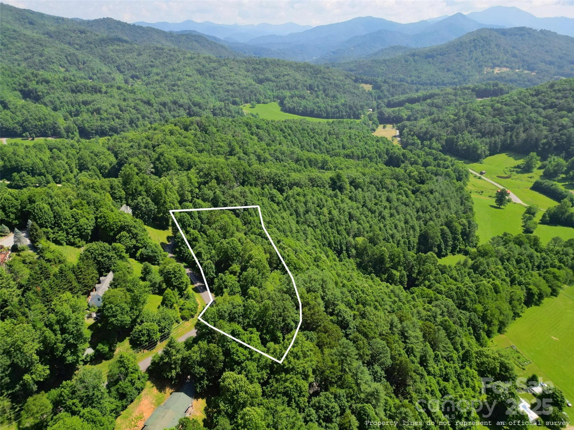 00 Point of View Drive - Photo 6