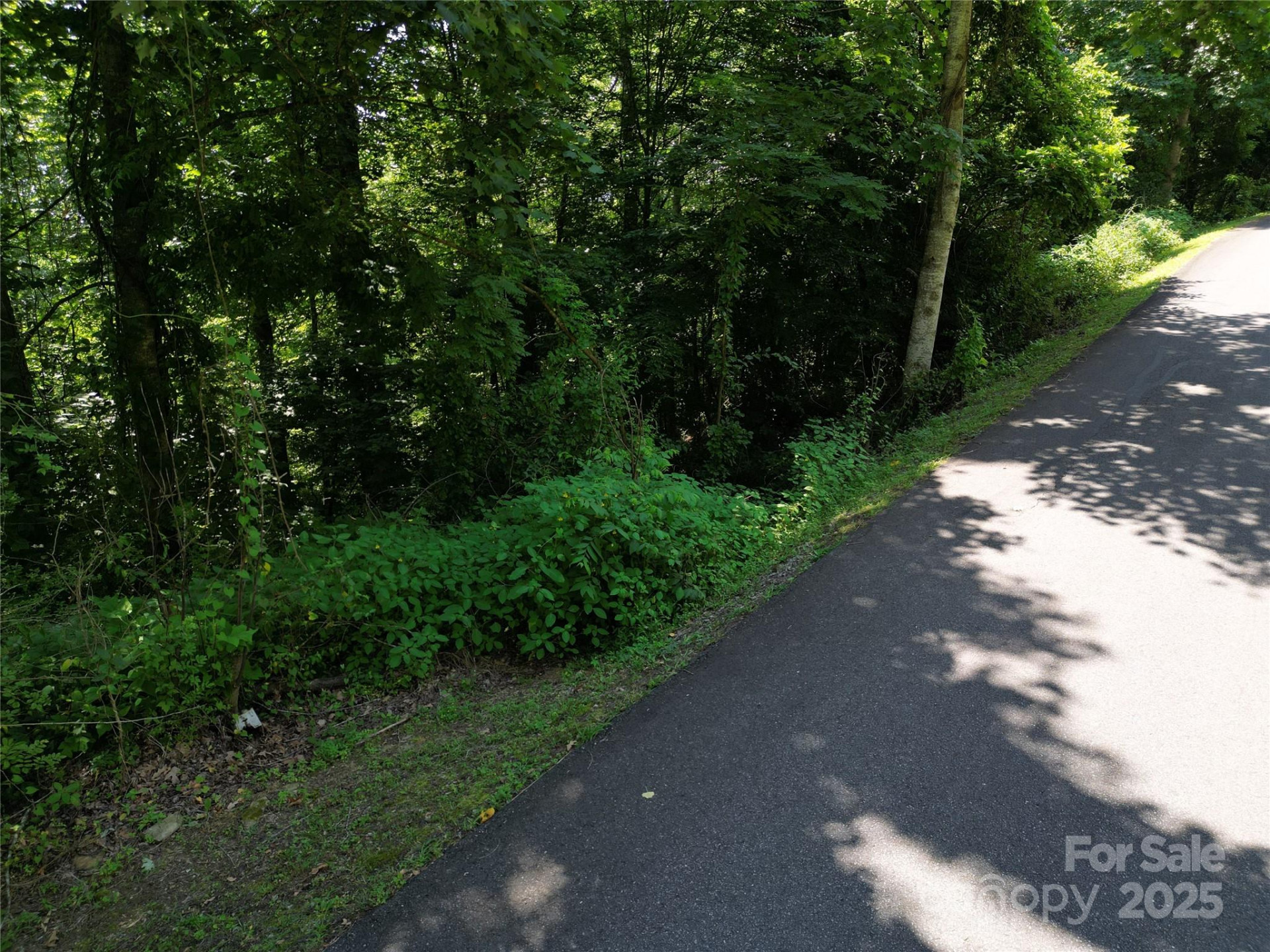 00 Point of View Drive - Photo 8