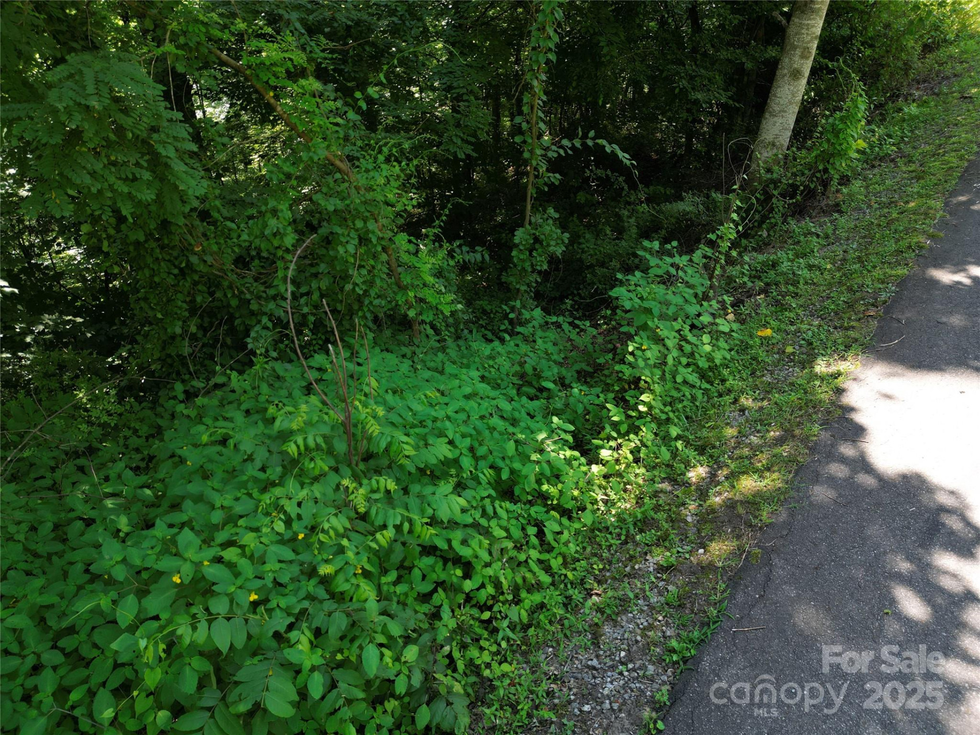 00 Point of View Drive - Photo 9