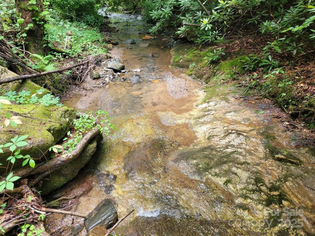 99999 Old Yellow Mountain Road - Photo 13