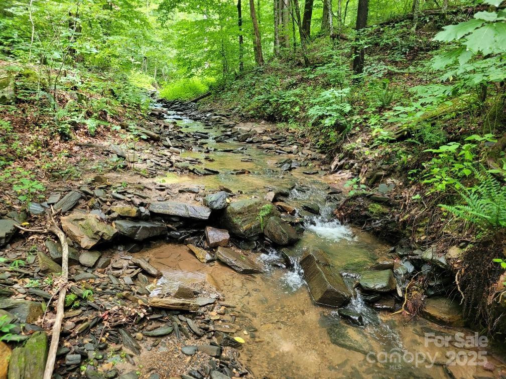 99999 Old Yellow Mountain Road - Photo 18