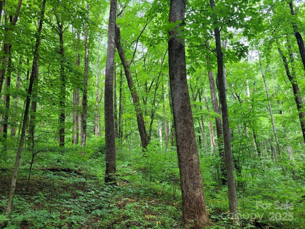 99999 Old Yellow Mountain Road - Photo 23