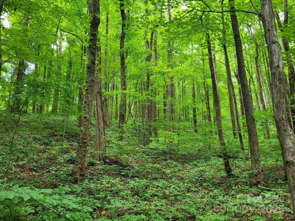 99999 Old Yellow Mountain Road - Photo 24