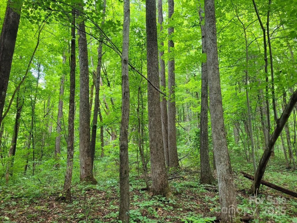 99999 Old Yellow Mountain Road - Photo 25