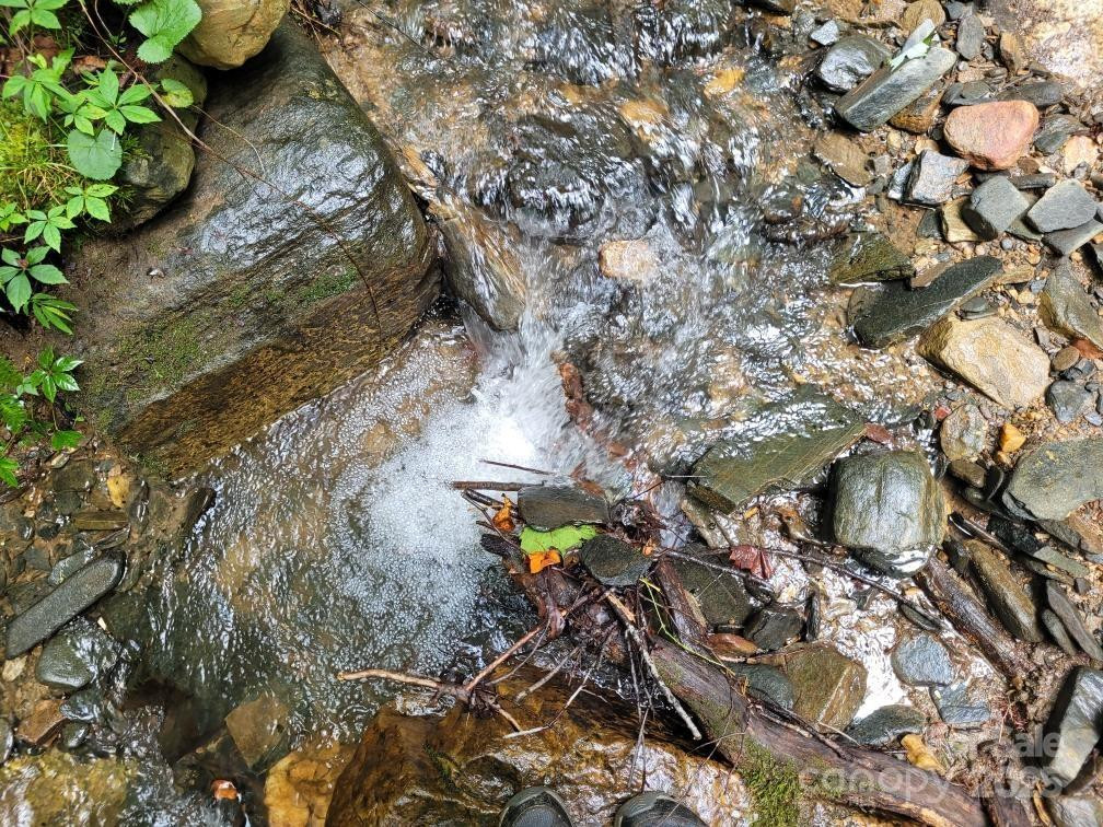 99999 Old Yellow Mountain Road - Photo 26