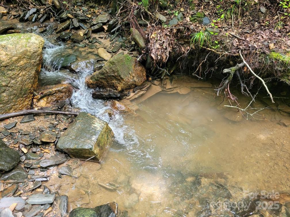 99999 Old Yellow Mountain Road - Photo 29