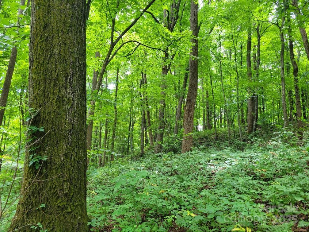 99999 Old Yellow Mountain Road - Photo 30