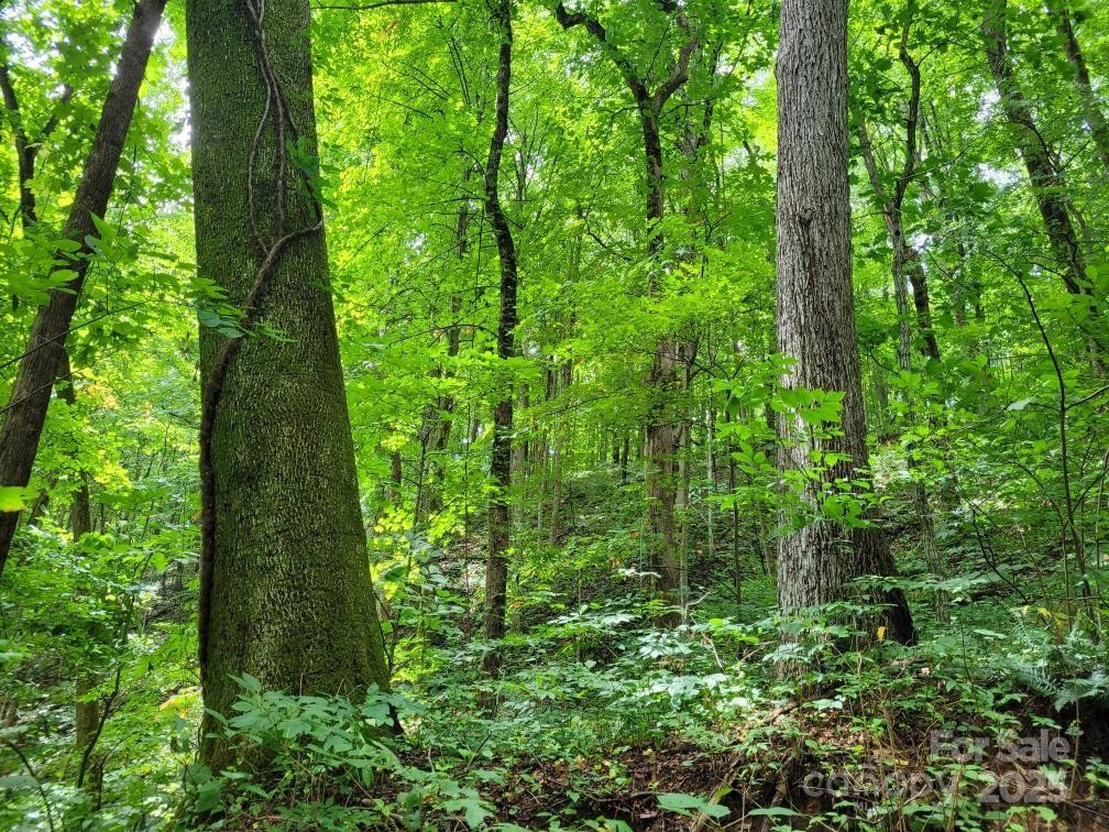 99999 Old Yellow Mountain Road - Photo 33