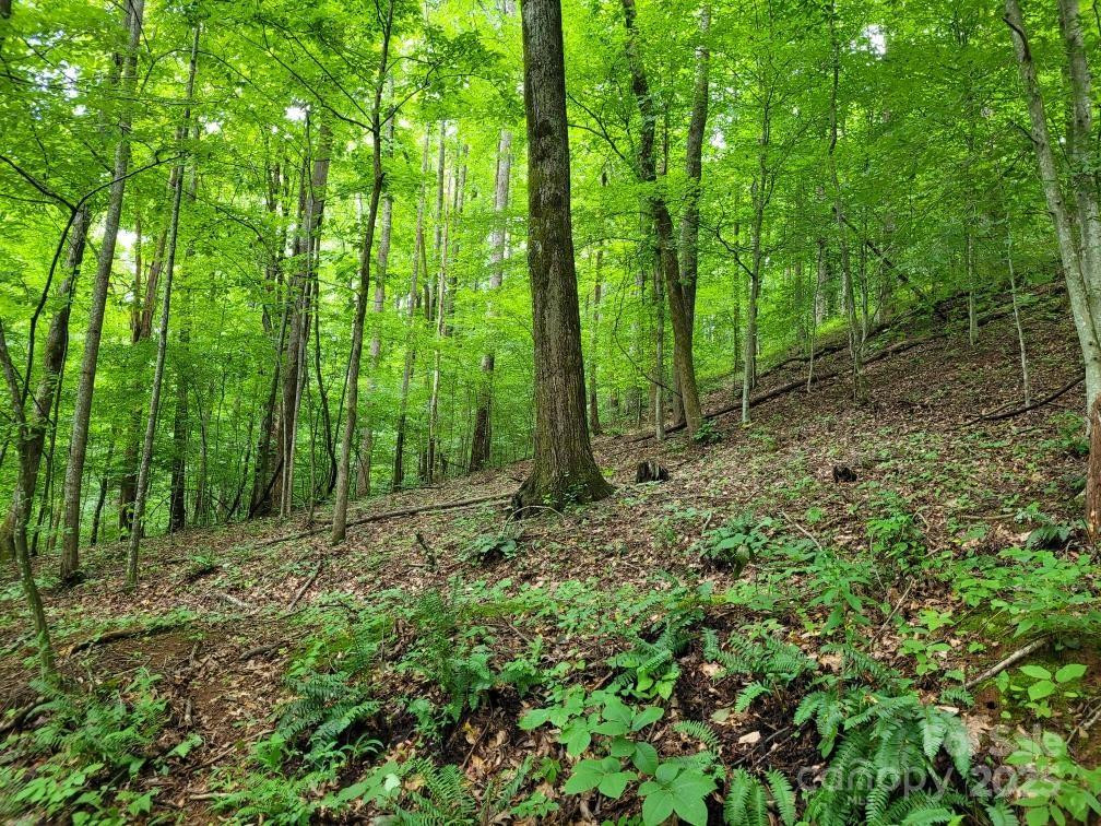 99999 Old Yellow Mountain Road - Photo 36