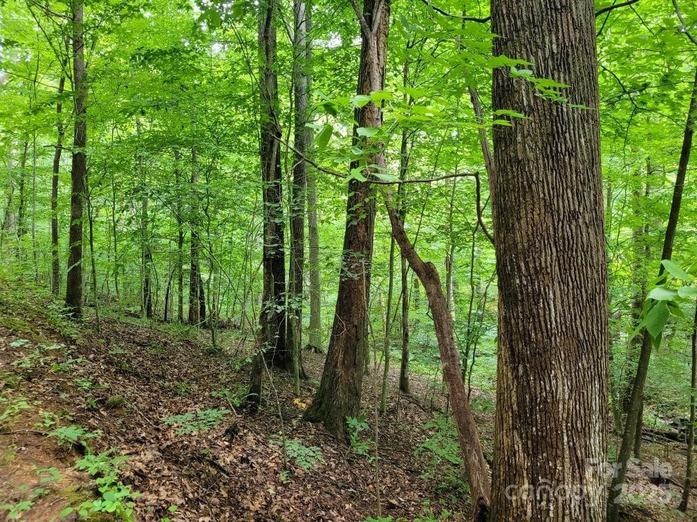 99999 Old Yellow Mountain Road - Photo 39