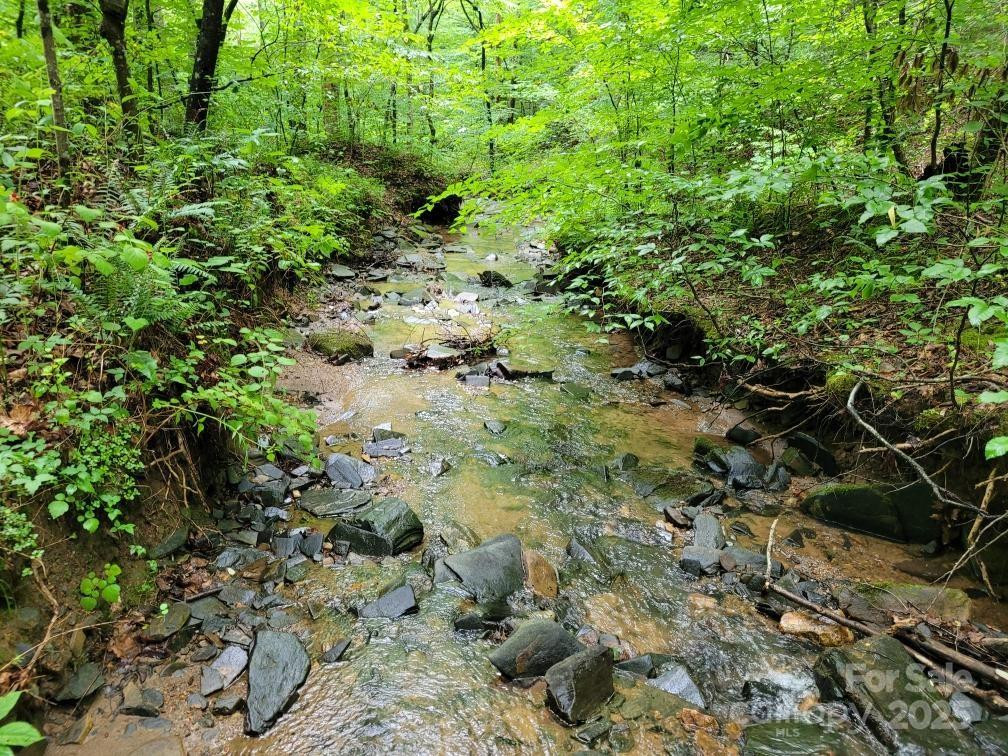 99999 Old Yellow Mountain Road - Photo 40