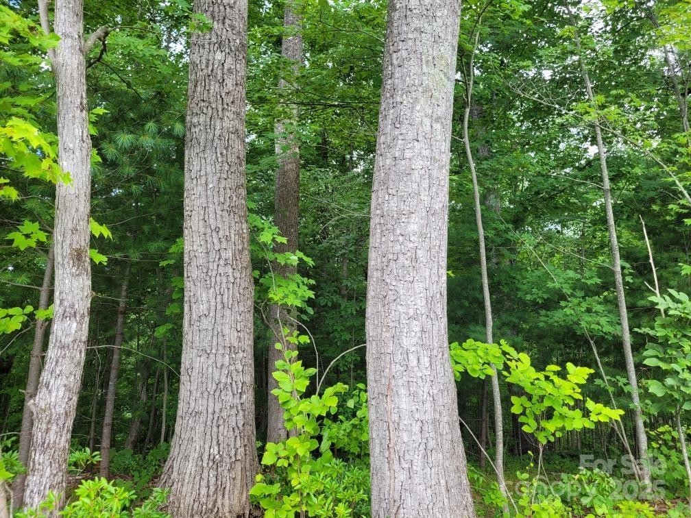 99999 Old Yellow Mountain Road - Photo 42