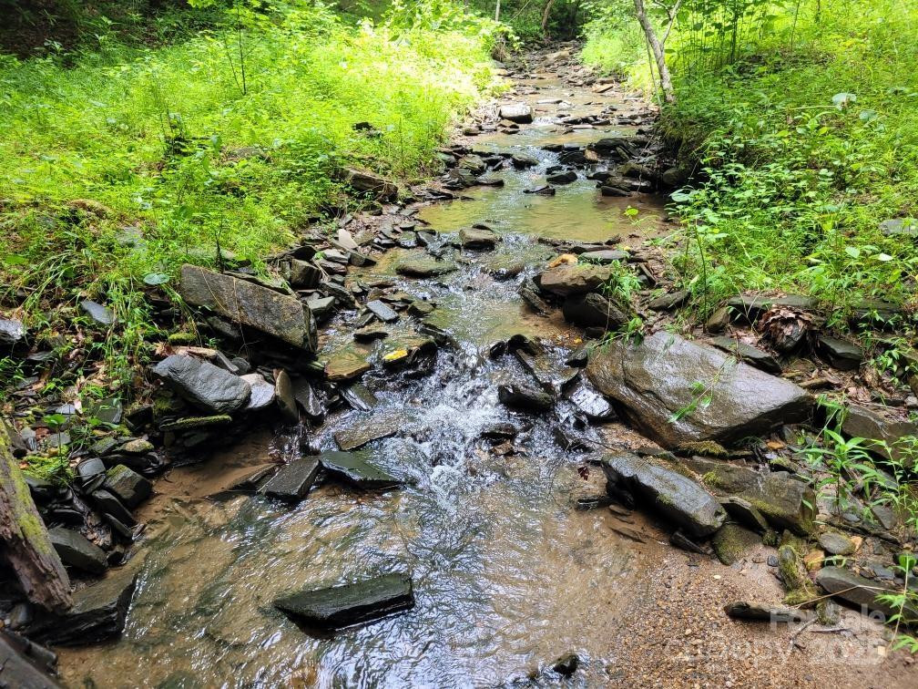 99999 Old Yellow Mountain Road - Photo 10