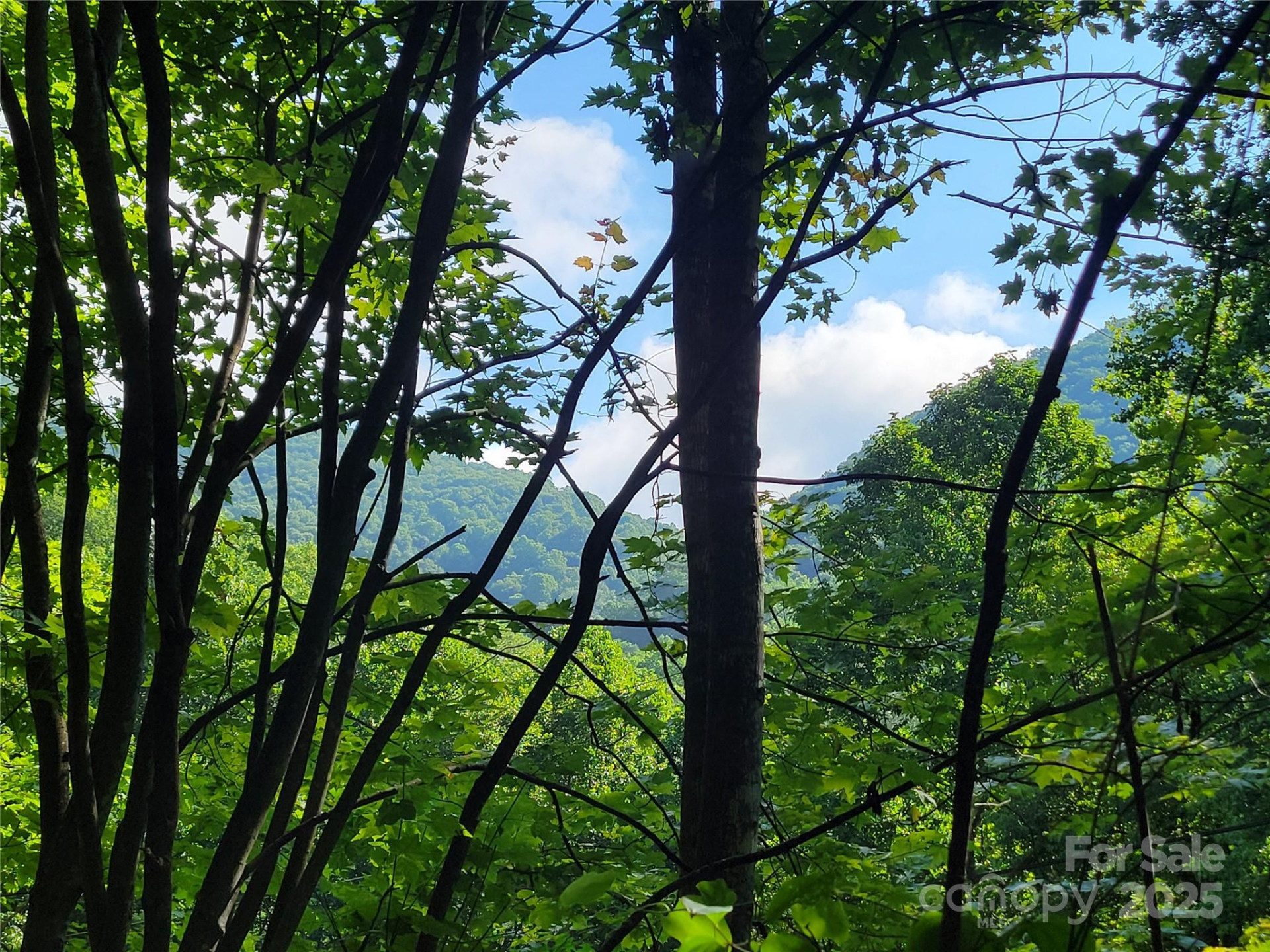 100 Village Lane #26 - Photo 2