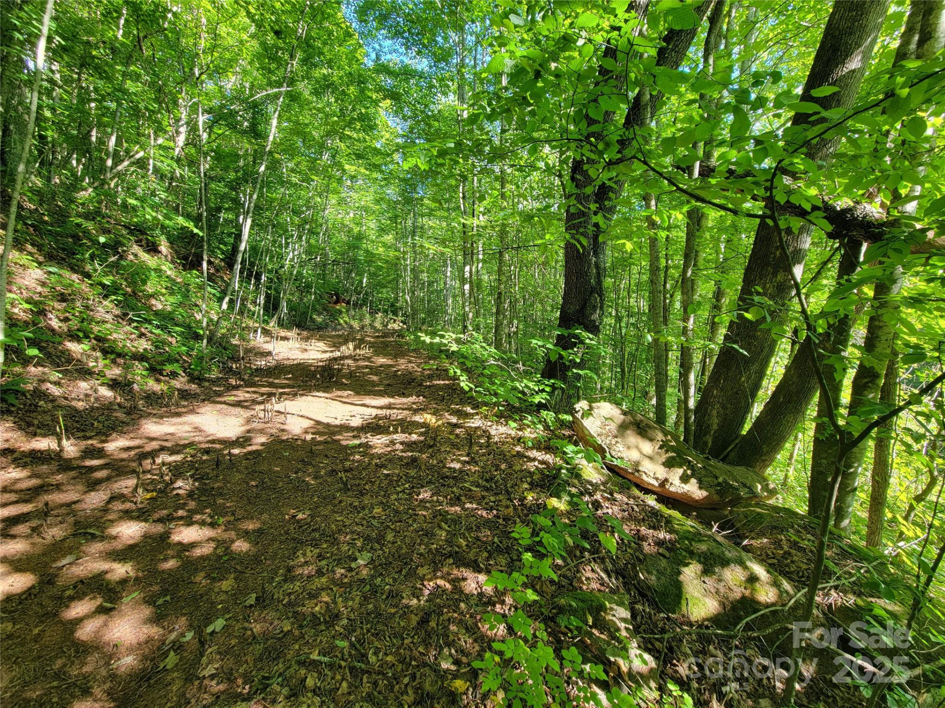 100 Village Lane #26 - Photo 11