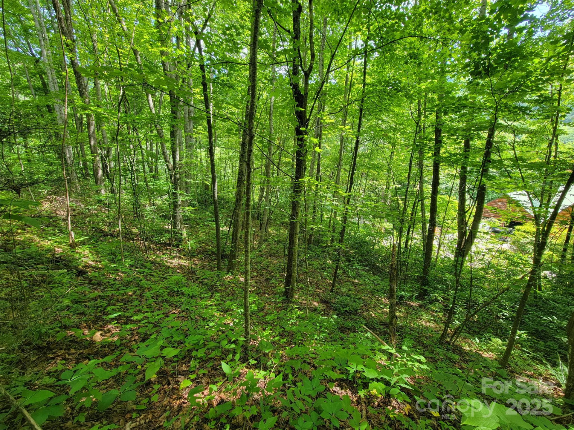 100 Village Lane #26 - Photo 14